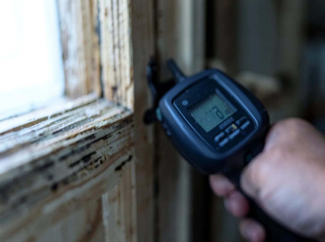 Moisture Inspection And Documentation in Winter Haven, FL